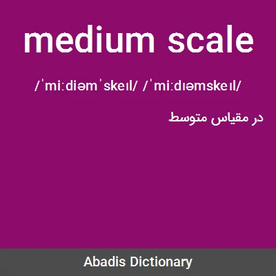 معنی medium scale